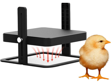 Chick Brooder Heating Plate Warmer Chicken Coop Heater